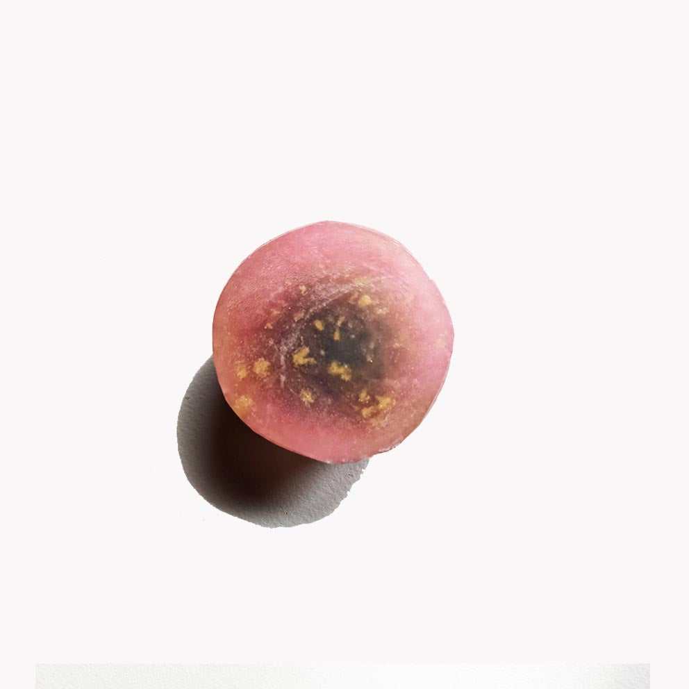 Cosmic Bloom – Zero Waste Soap