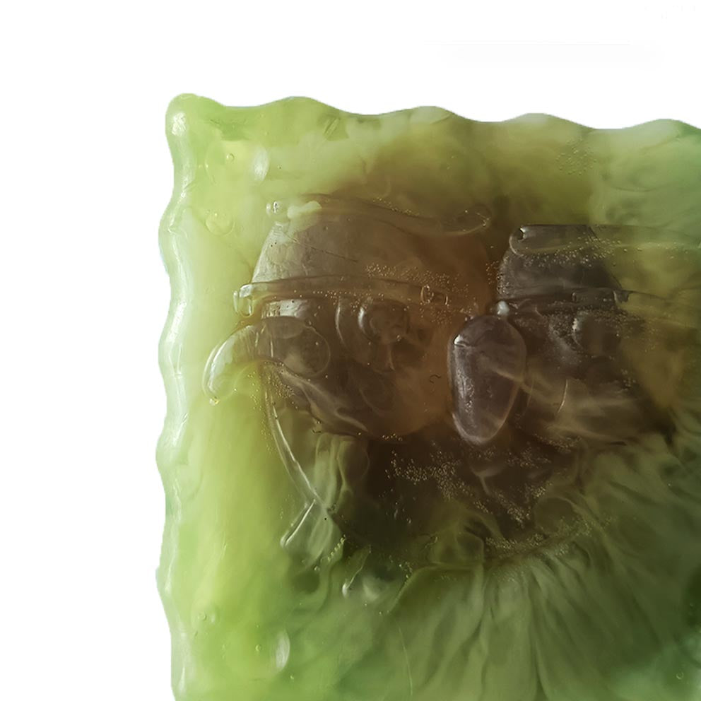 Green herb sponge soap