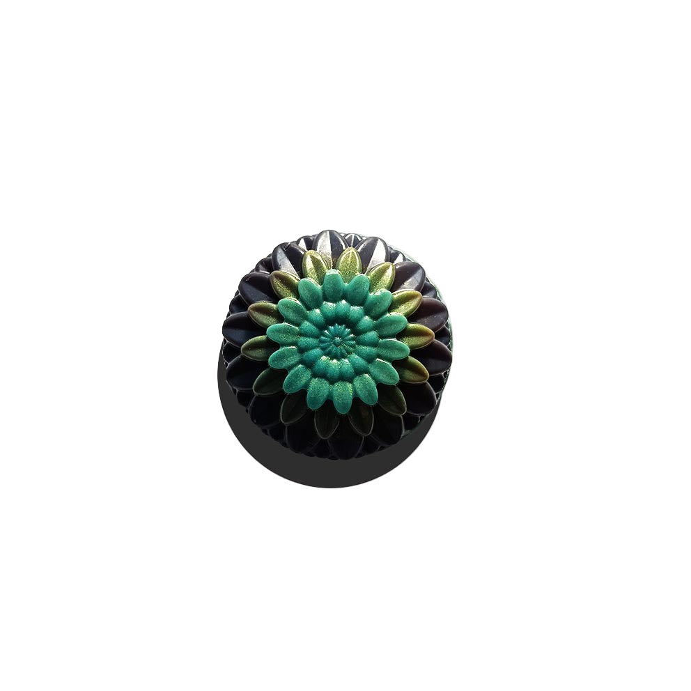 Color sea shell