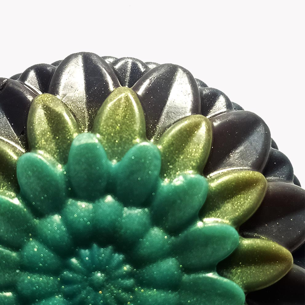 Color sea shell