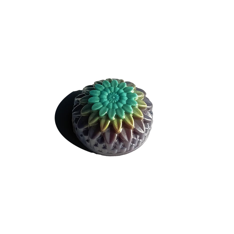 Color sea shell