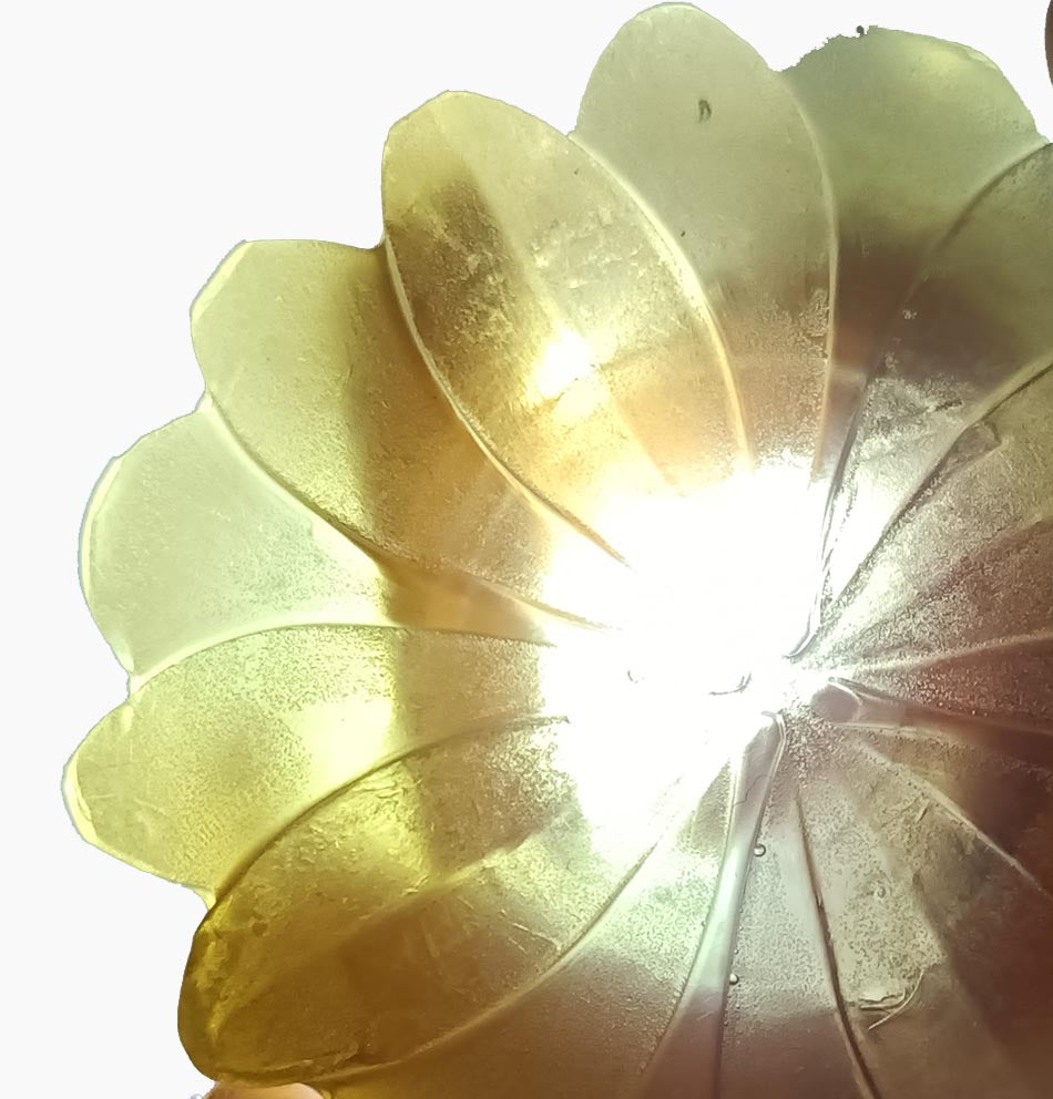 Flower in the ice