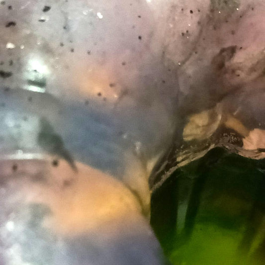 Sea Squid special