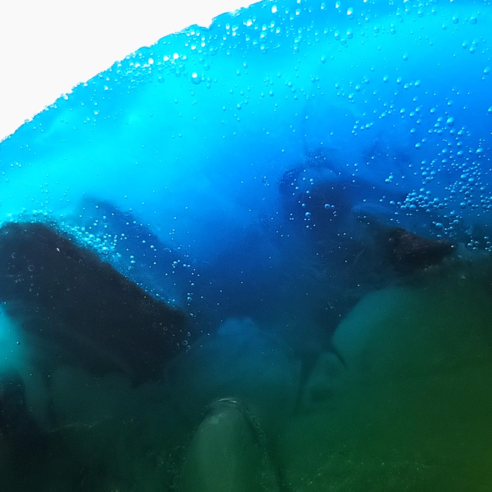 Sea Donut Special