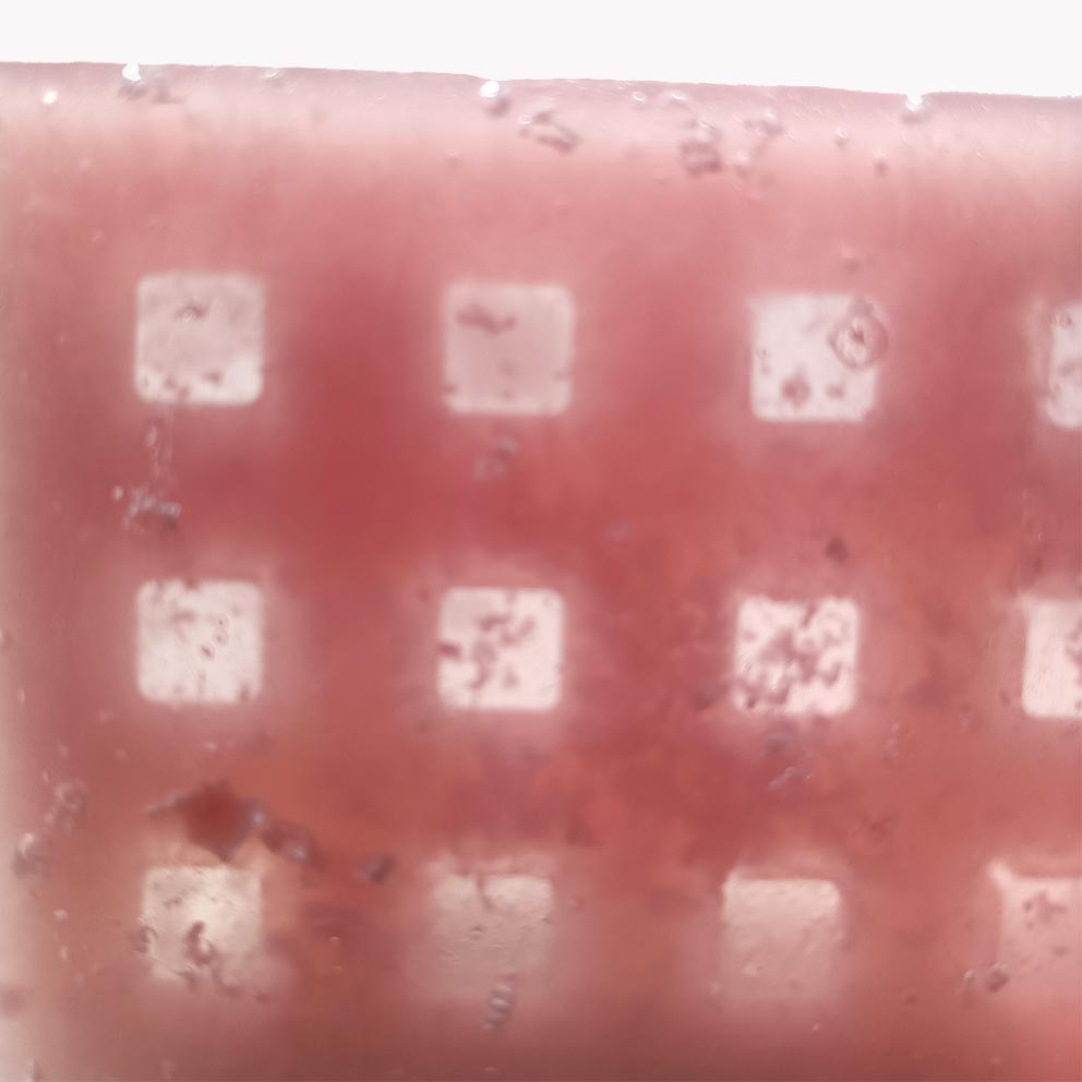 Waffle soap
